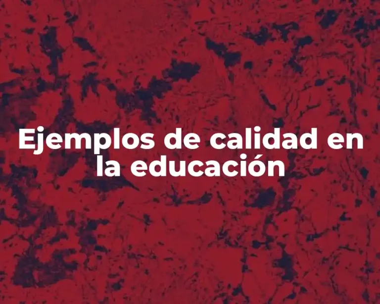 Ejemplos de calidad en la educación