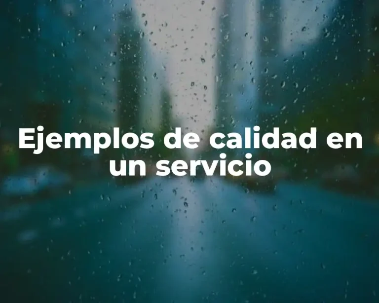 Ejemplos de calidad en un servicio