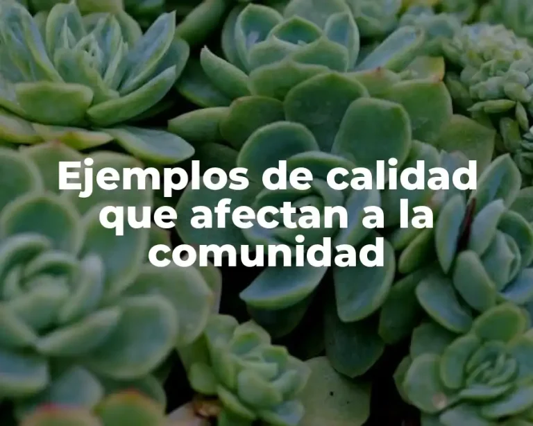 Ejemplos de calidad que afectan a la comunidad
