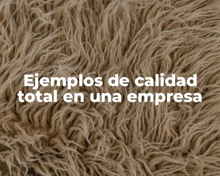 Ejemplos de calidad total en una empresa