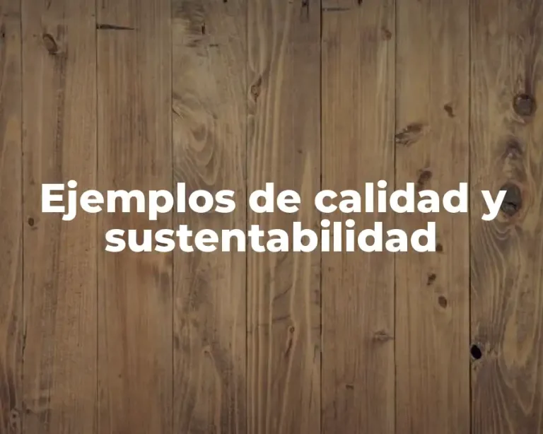 Ejemplos de calidad y sustentabilidad