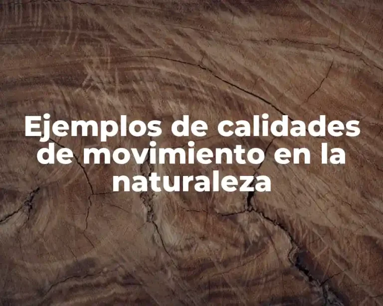 Ejemplos de calidades de movimiento en la naturaleza