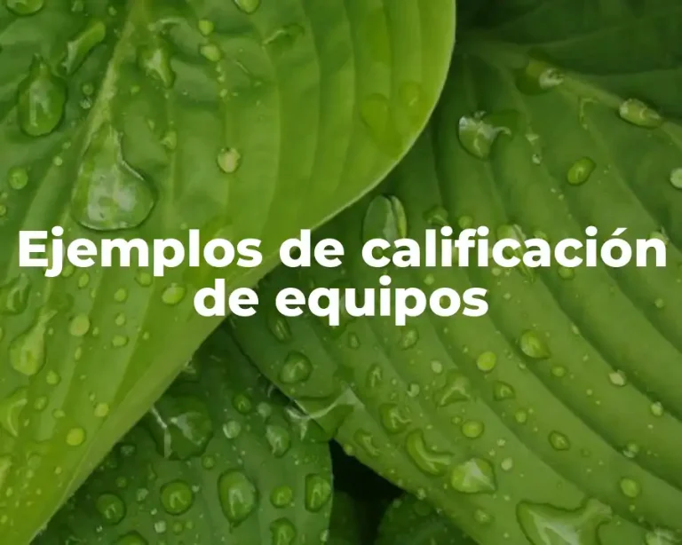 Ejemplos de calificación de equipos