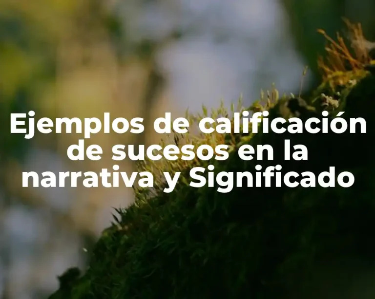 Ejemplos de calificación de sucesos en la narrativa y Significado