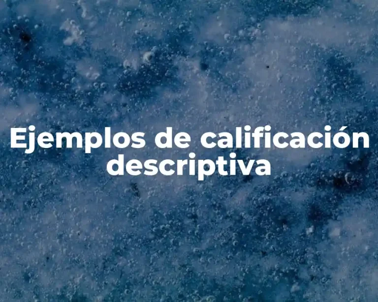 Ejemplos de calificación descriptiva