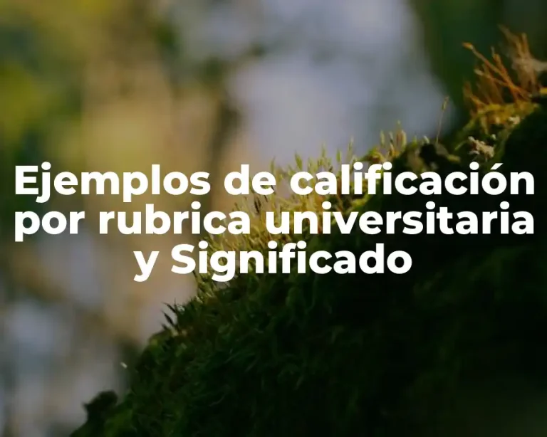 Ejemplos de calificación por rubrica universitaria y Significado