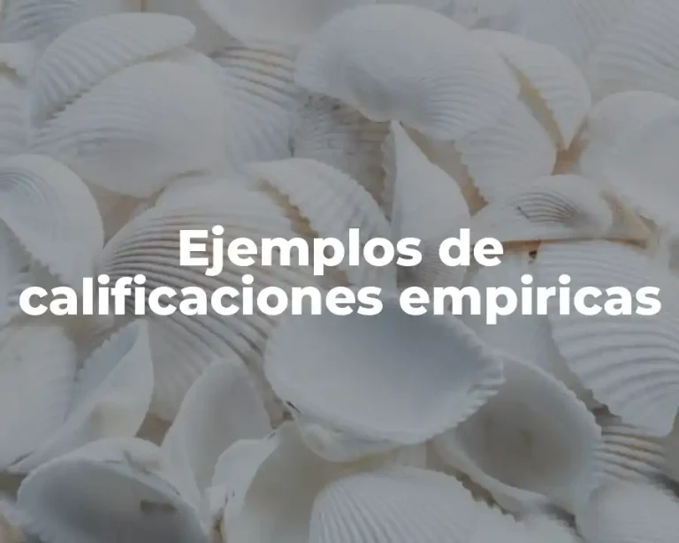 Ejemplos de calificaciones empiricas