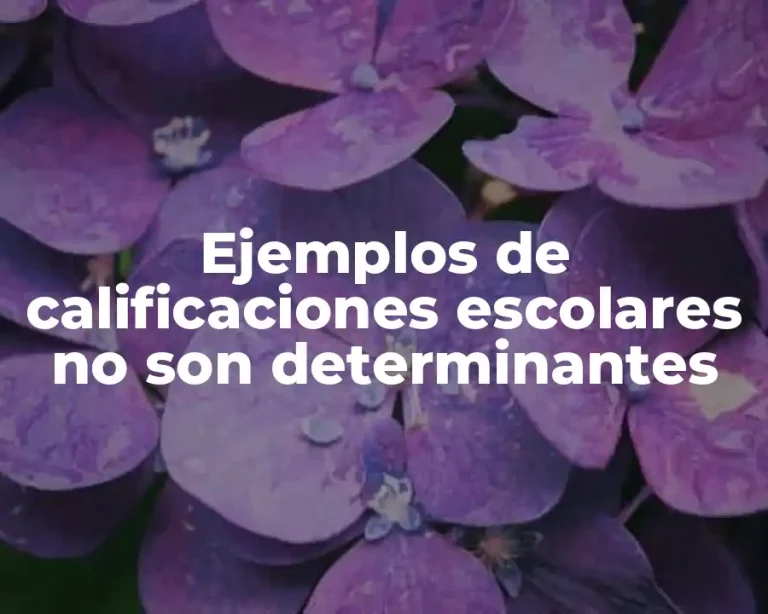 Ejemplos de calificaciones escolares no son determinantes