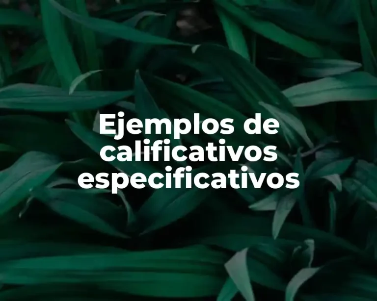 Ejemplos de calificativos especificativos