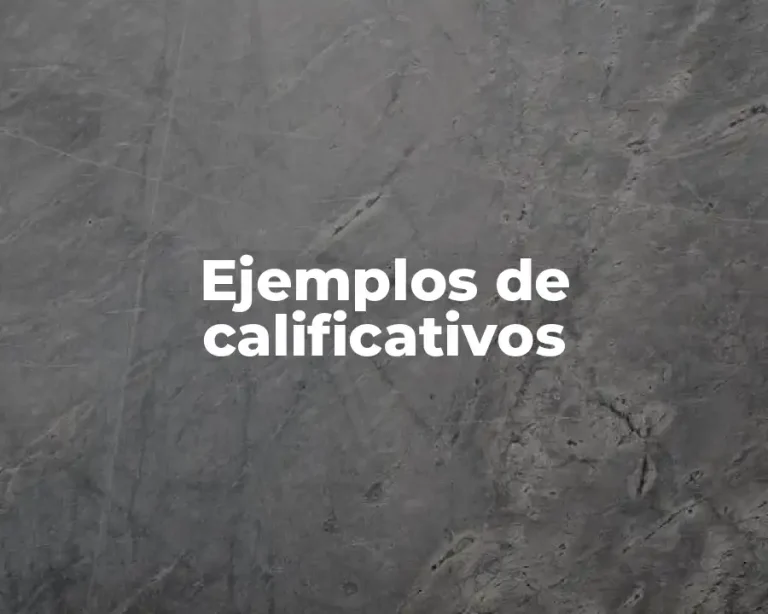 Ejemplos de calificativos
