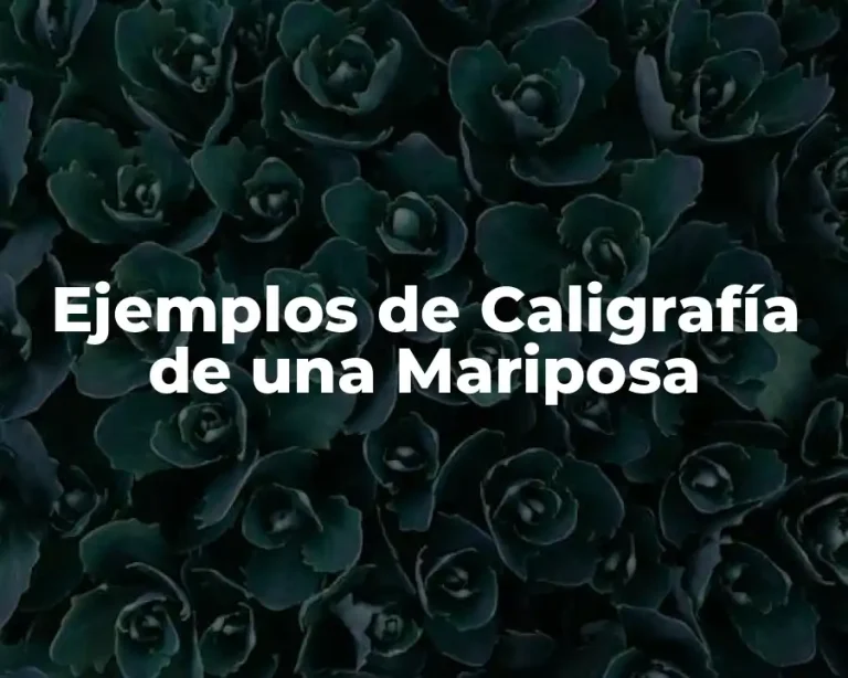 Ejemplos de Caligrafía de una Mariposa