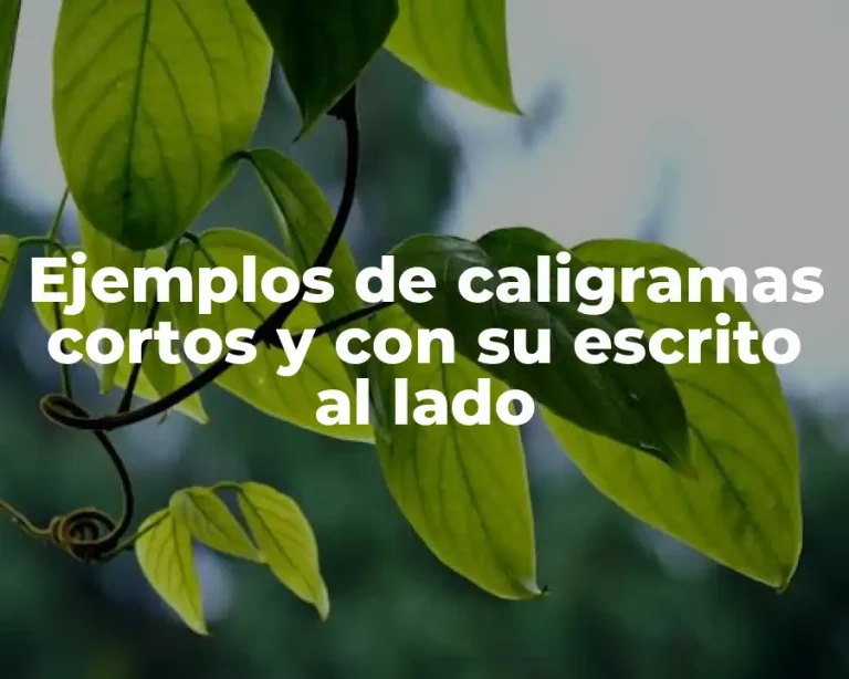 Ejemplos de caligramas cortos y con su escrito al lado