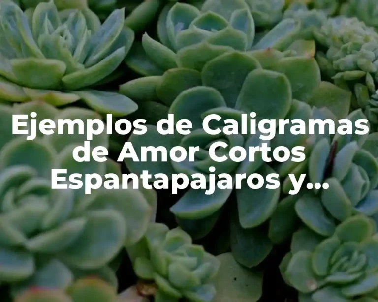 Ejemplos de Caligramas de Amor Cortos Espantapajaros y Significado