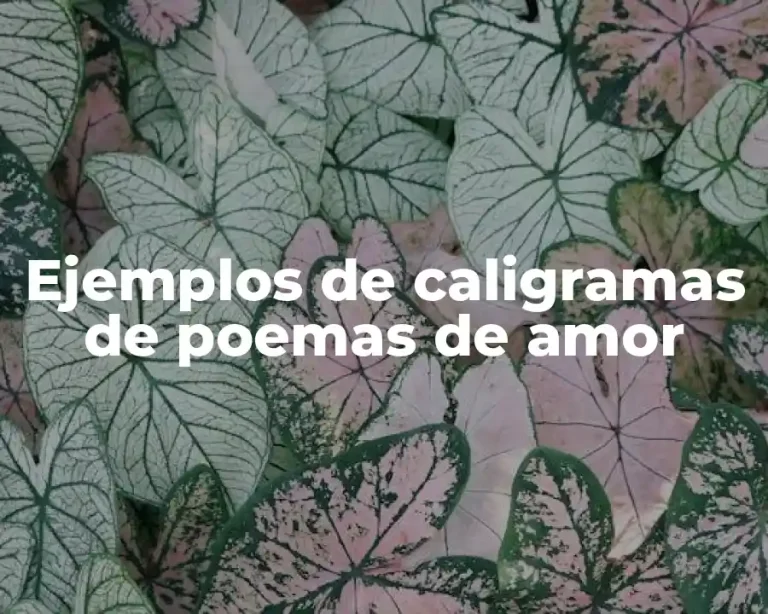 Ejemplos de caligramas de poemas de amor