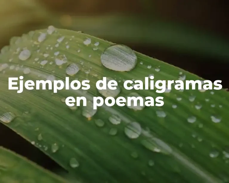 Ejemplos de caligramas en poemas