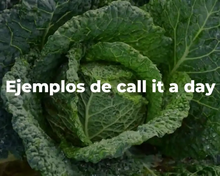 Ejemplos de call it a day