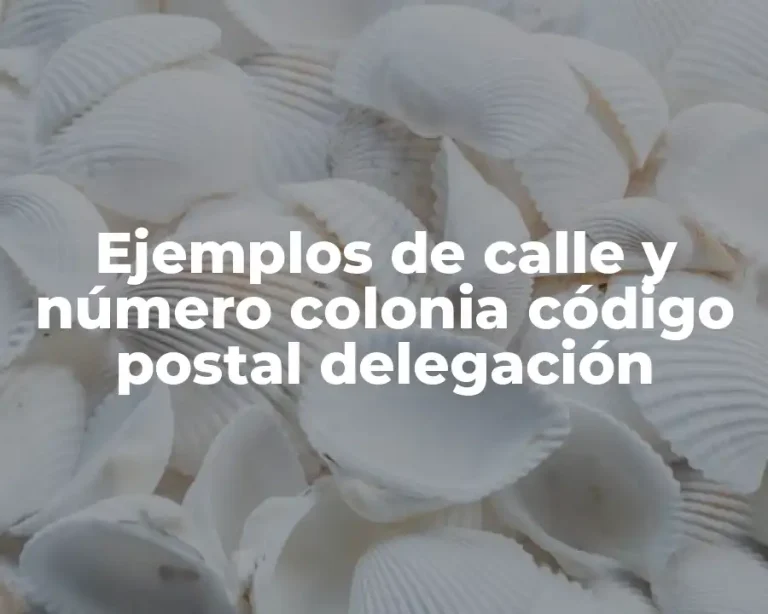 Ejemplos de calle y número colonia código postal delegación