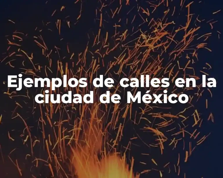 Ejemplos de calles en la ciudad de México