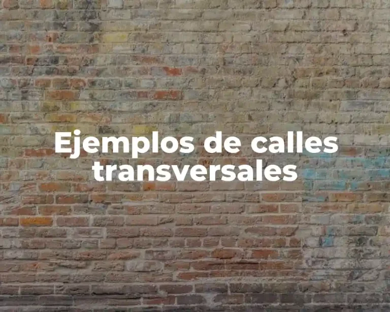 Ejemplos de calles transversales
