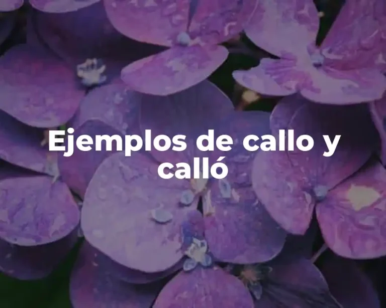 Ejemplos de callo y calló