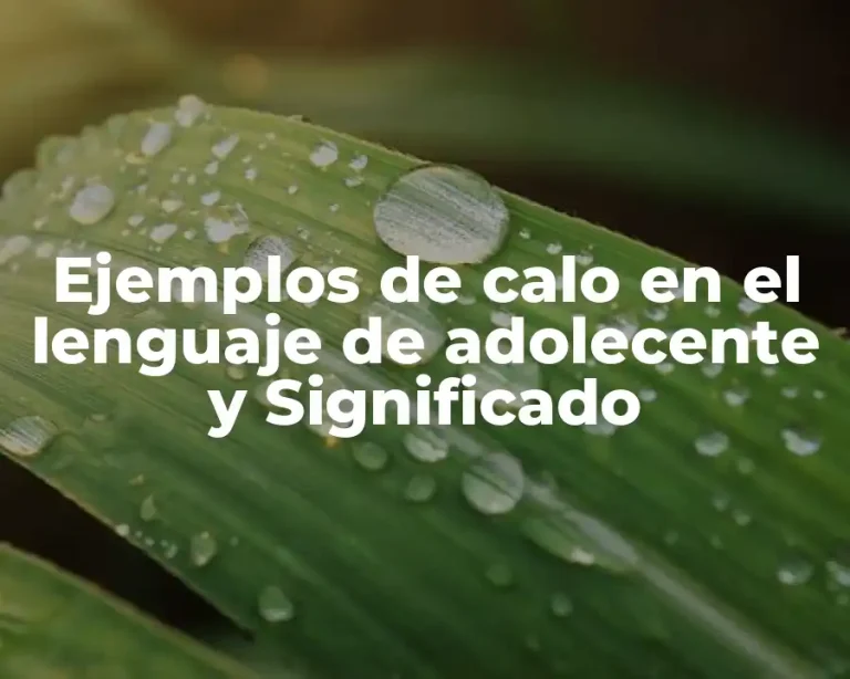 Ejemplos de calo en el lenguaje de adolecente y Significado