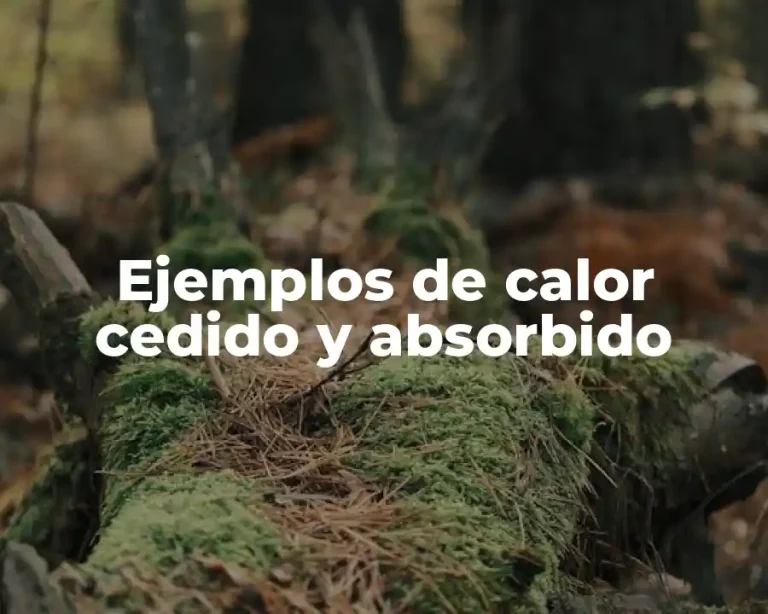Ejemplos de calor cedido y absorbido