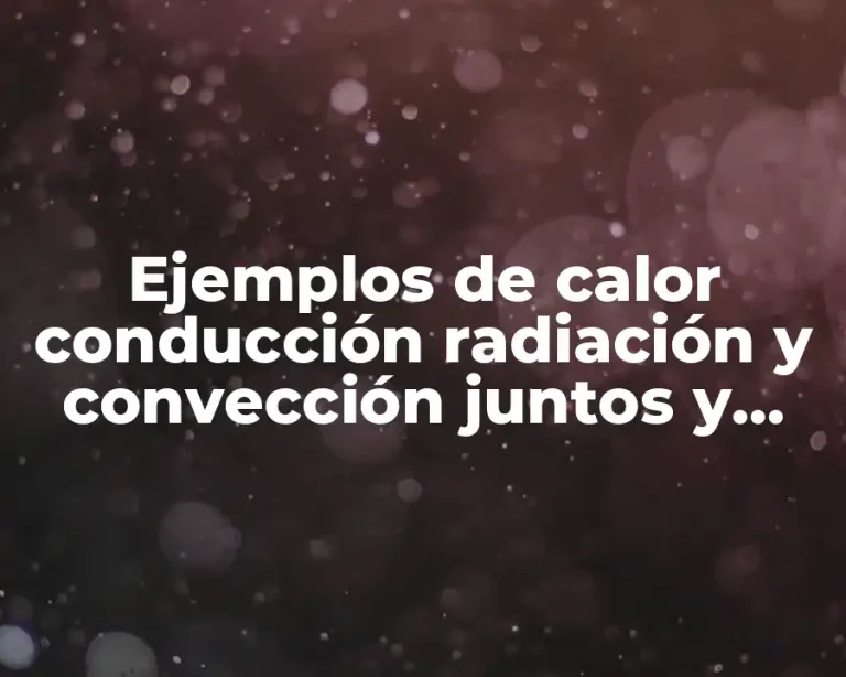Ejemplos de calor conducción radiación y convección juntos y Significado