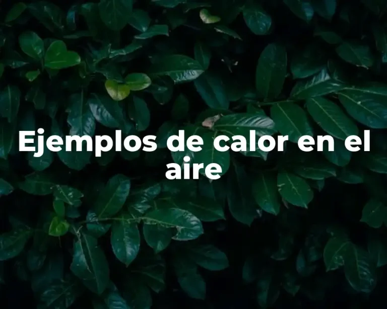 Ejemplos de calor en el aire