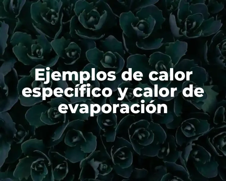 Ejemplos de calor específico y calor de evaporación
