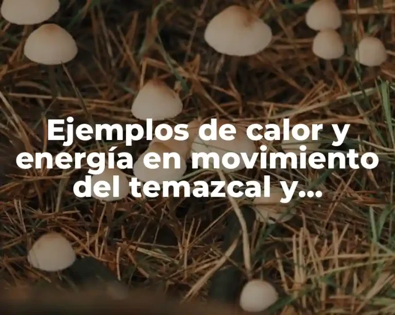 Ejemplos de calor y energía en movimiento del temazcal y Significado
