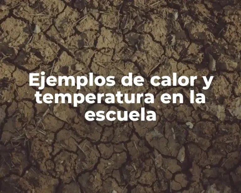 Ejemplos de calor y temperatura en la escuela