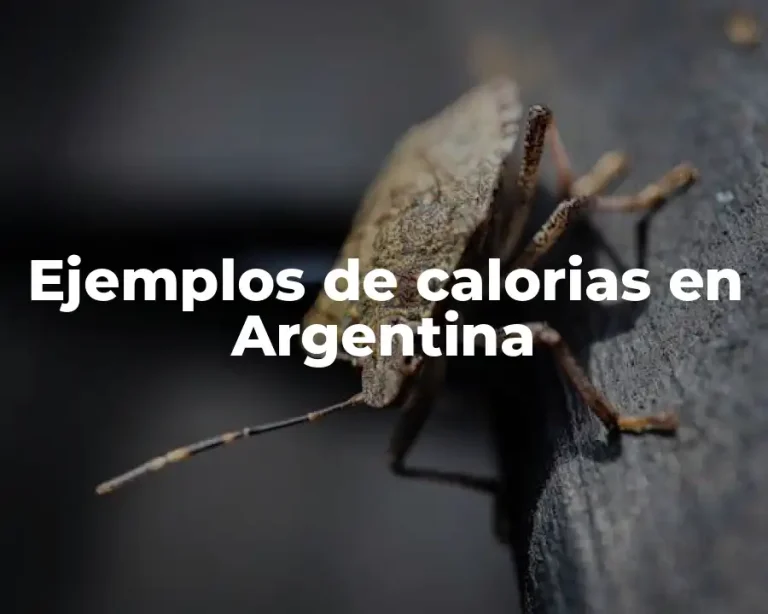 Ejemplos de calorias en Argentina