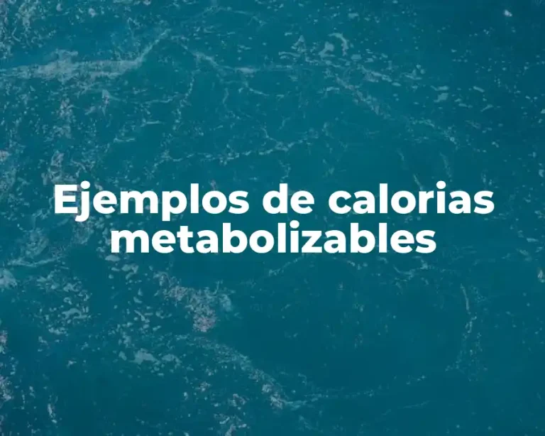 Ejemplos de calorias metabolizables