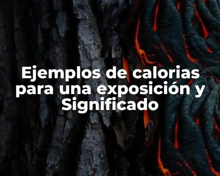 Ejemplos de calorias para una exposición y Significado