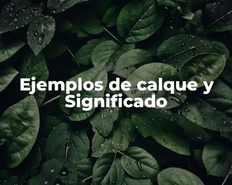 Ejemplos de calque y Significado