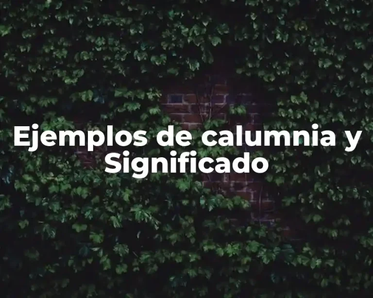 Ejemplos de calumnia y Significado