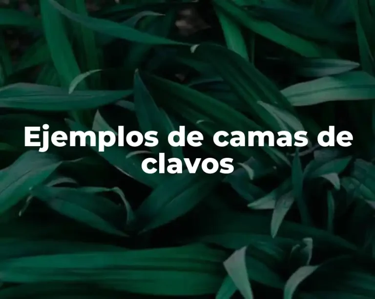 Ejemplos de camas de clavos