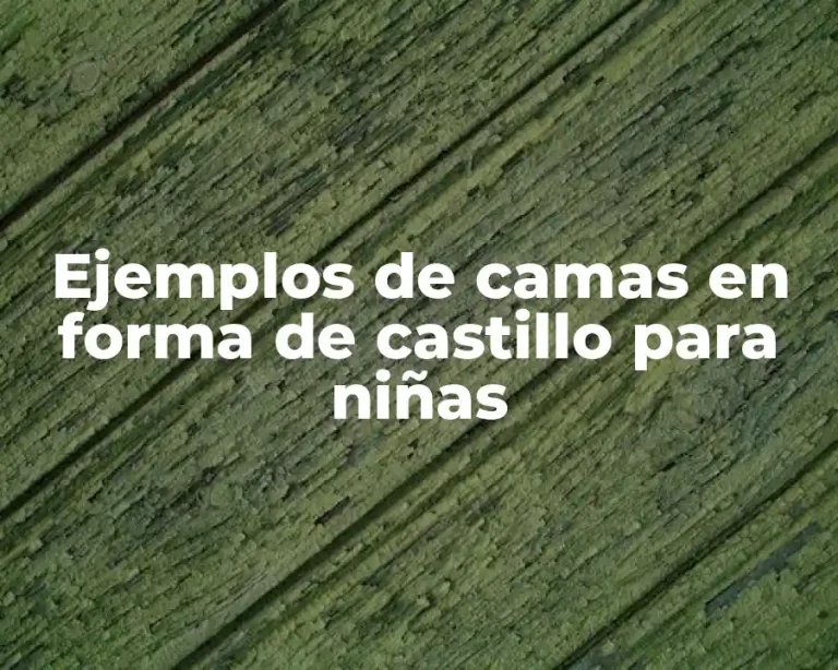 Ejemplos de camas en forma de castillo para niñas