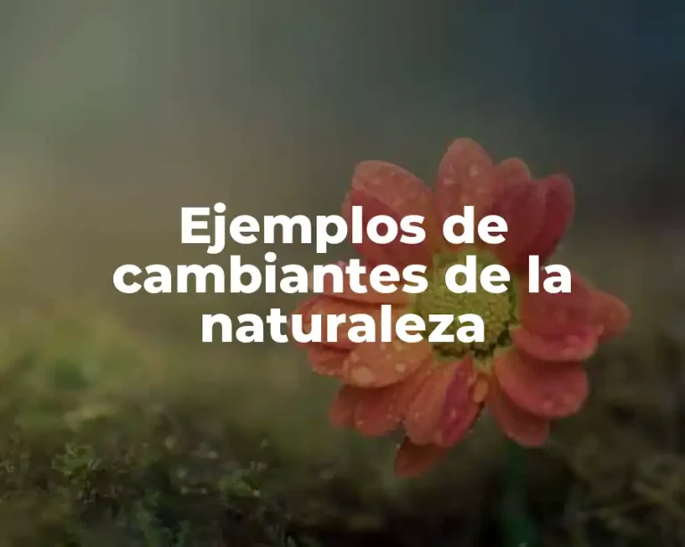 Ejemplos de cambiantes de la naturaleza