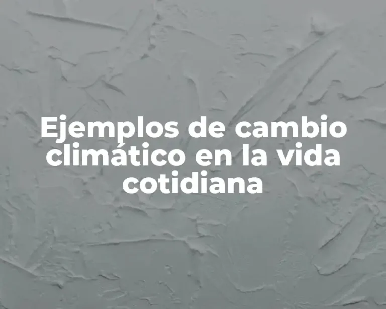 Ejemplos de cambio climático en la vida cotidiana