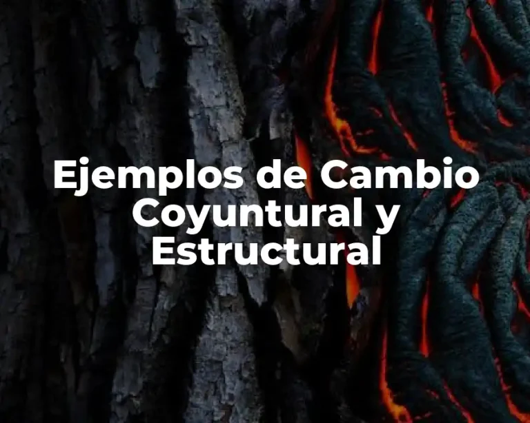 Ejemplos de Cambio Coyuntural y Estructural
