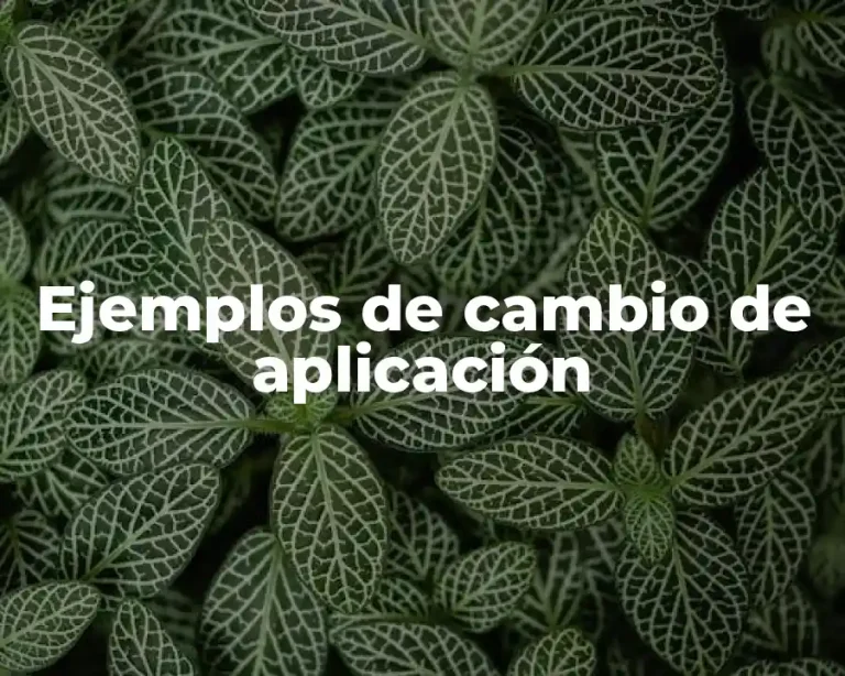 Ejemplos de cambio de aplicación