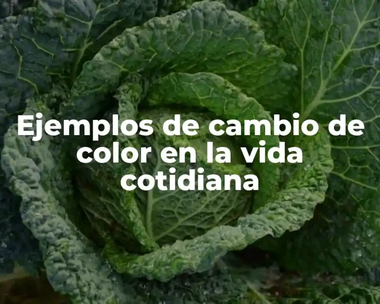 Ejemplos de cambio de color en la vida cotidiana
