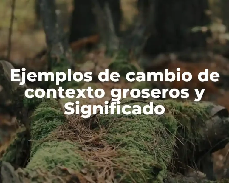 Ejemplos de cambio de contexto groseros y Significado