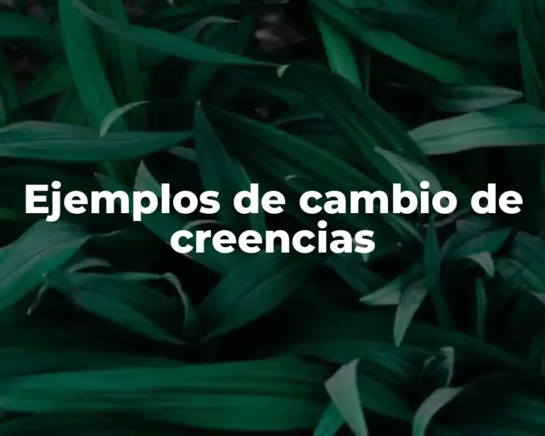 Ejemplos de cambio de creencias