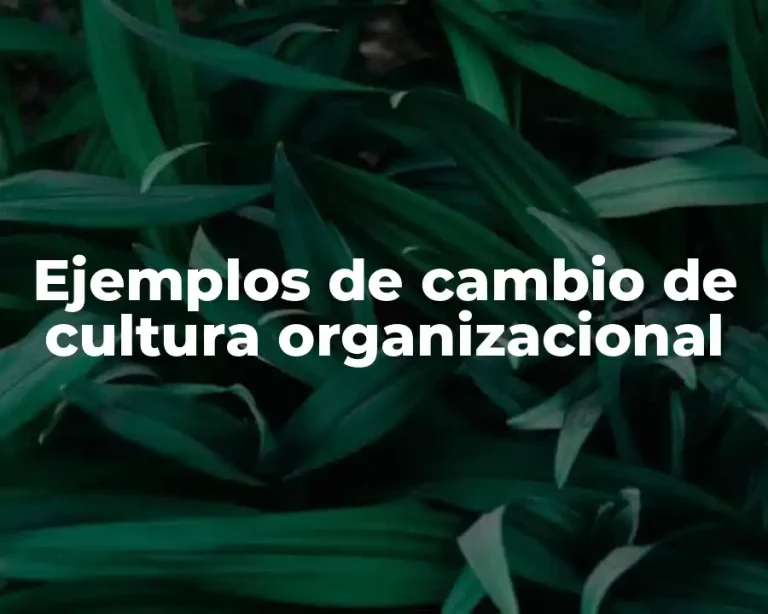 Ejemplos de cambio de cultura organizacional