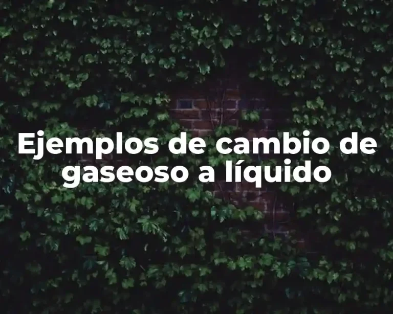 Ejemplos de cambio de gaseoso a líquido
