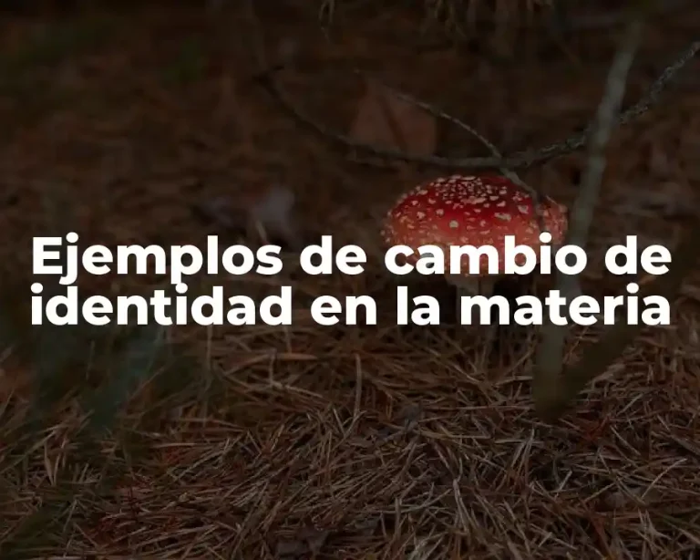 Ejemplos de cambio de identidad en la materia