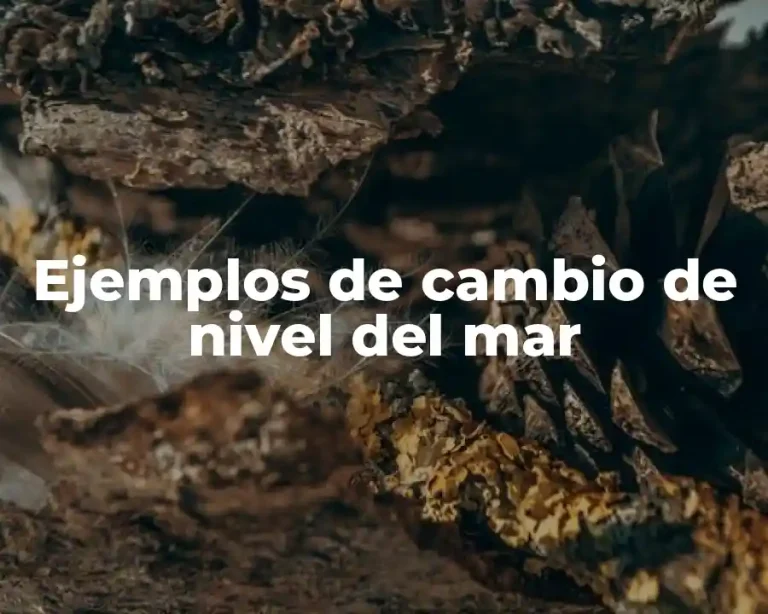 Ejemplos de cambio de nivel del mar