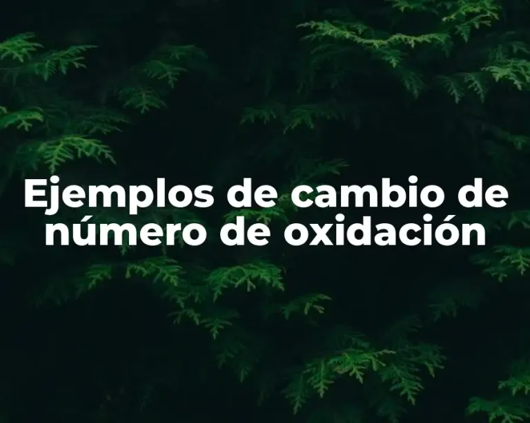Ejemplos de cambio de número de oxidación